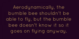 , the bumble bee shouldn't be able to fly, but the bumble bee ...