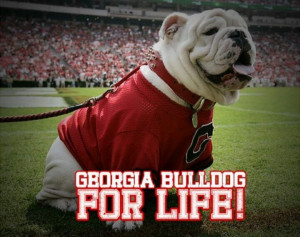 Georgia Bulldog.....