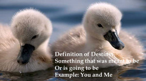 Definition of destiny: Something that was meant to be or is going to ...