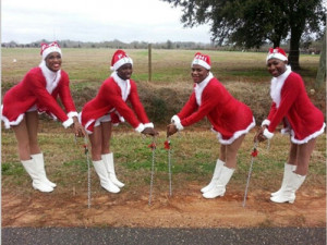 the prancing elites of mobile alabama