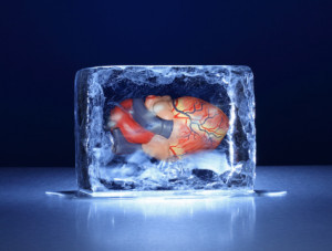 Inside a Human Heart with a Block of Ice