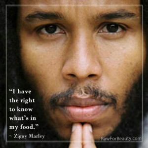 Ziggy Marley quote.