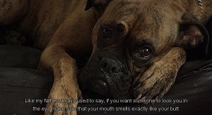 Sad Dog Diary’: Depressed Canines Air Their Doggy Grievances