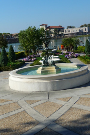 Petra Norris * Hollis Garden in Lakeland Florida - Picture Updates