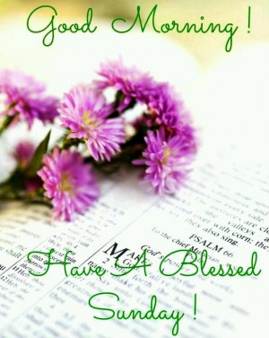 Good Morning , Wishing everyone a Beautiful and Blessed Day!