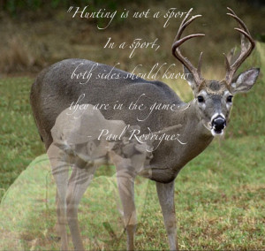 quote, I love it so I made this. End hunting.Man I wish animals ...