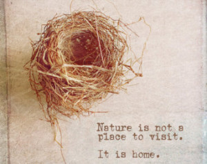 Bird Nest Photo with Quote Vintage Style Nature Photograph Print ...