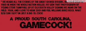 South Carolina Gamecock Facebook Covers