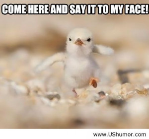 Say it to my face! US Humor - Funny pictures, Quotes, Pics, Photos ...