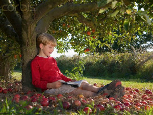 long time ago, there was a huge apple tree. A little boy loved to ...