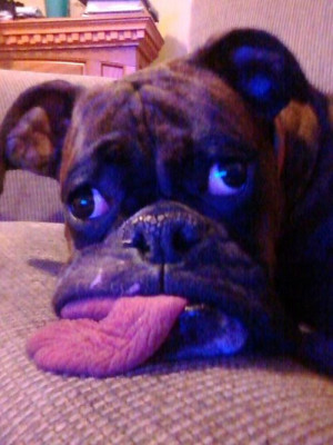 すごい舌伸びてるwwww