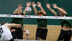 ... Welch - as middle blocker for the U.H. 2010 men's volleyball team