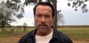 Watch: Schwarzenegger Says Fans' Fave Movie Lines for Reddit AMA