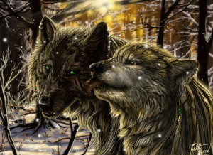 alpha coders art abyss animal wolf wolf love