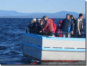 The relatives cast 36 poppies into the Pacific Ocean. one fo each ...