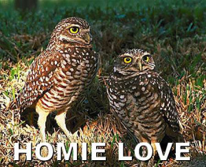 Homie Love Quotes Homie love, man, homie love.