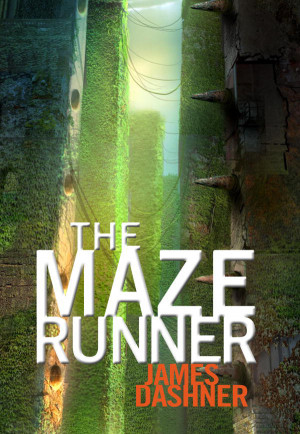 ... to read this book called the maze runner he said it was ridiculously