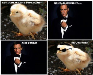 hey dude what s your name bong james bond and yours ken chic ken