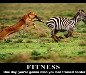 The Big Cat is the truth. The truth is what you NEED. Eventually it ...