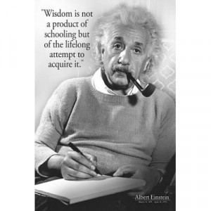 Albert Einstein Wisdom Quote Poster - 24x36