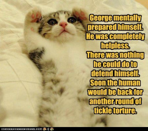 get well soon funny cats