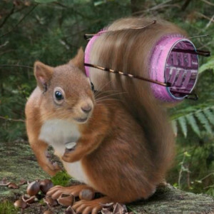 Bad Hair Quotes Favim Day