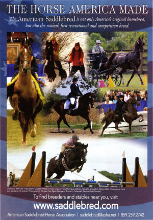 American Saddlebred Horses can do it all!