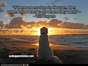 If there are no dogs in Heaven, then when I die I want to go where ...
