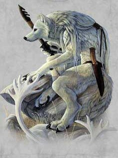 to Inuit mythology Amaguq is a trickster and wolf god.: Mythology ...