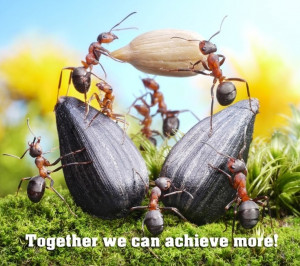 Together We Can Achieve More