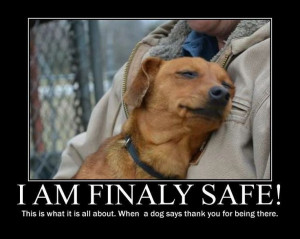 feeling safe ♥ this is what it's all about...when a dog says thank ...