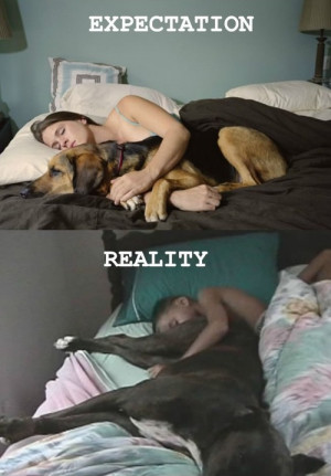 expectation.... reality