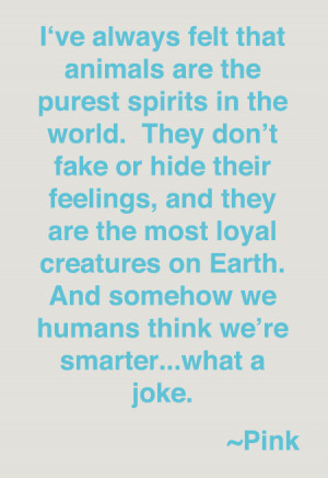 ve Always Felt That Animals Are The Purest Spirits In The World ...