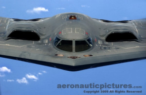 Race with no fear! - Gilles Villeneuve