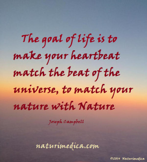 The-goal-of-life-is-to-make-your-heartbeat-match-the-beat-of-the ...