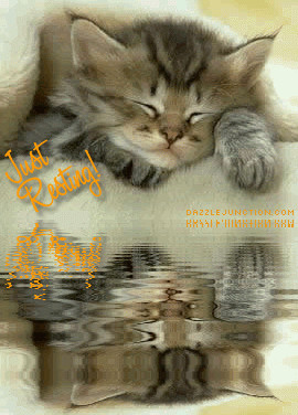 Cute Animals Just Resting quote