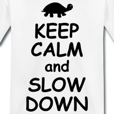 Keep calm and slow down funny quotes turtle animal Shirts
