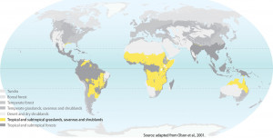 savanna grassland map picture