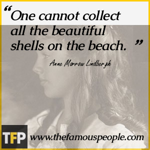 One cannot collect all the beautiful shells on the beach.