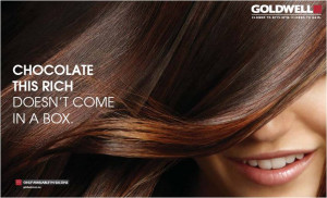 Goldwell Hair Color available at Tyler Presley Salon