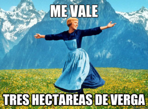 me vale tres hectareas de verga - Sound of Music- Election