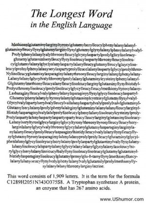 The longest word in the world US Humor - Funny pictures, Quotes, Pics ...