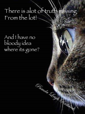 Related Pictures cat quotes eyesforyourimage
