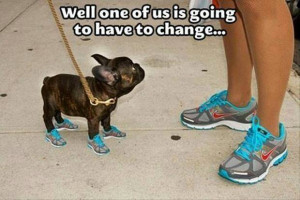 Nike Shoes Doggy