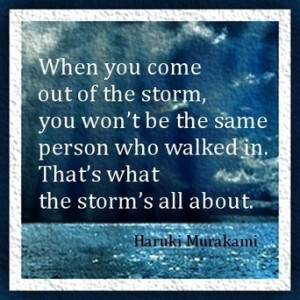 When you come out of the storm, you won’t be the same person who ...