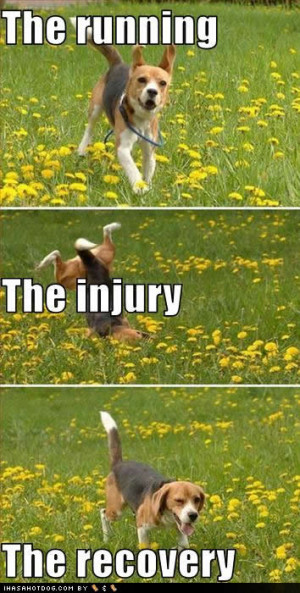 We are going to Charlotte this weekend - so that means IKEA! Hells yes ...