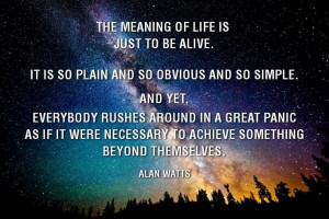 The meaning of life.