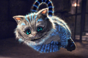 Cheshire Cat in flight