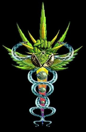 La marihuana parece estar retomando su ancestral carácter medicinal ...