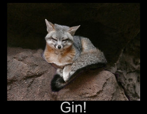 ... ://bleach.wikia.com/wiki/User_blog:Tinni/Ichimaru_Gin?oldid=158859